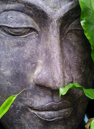 a Buddha face statue peeking through green leaves